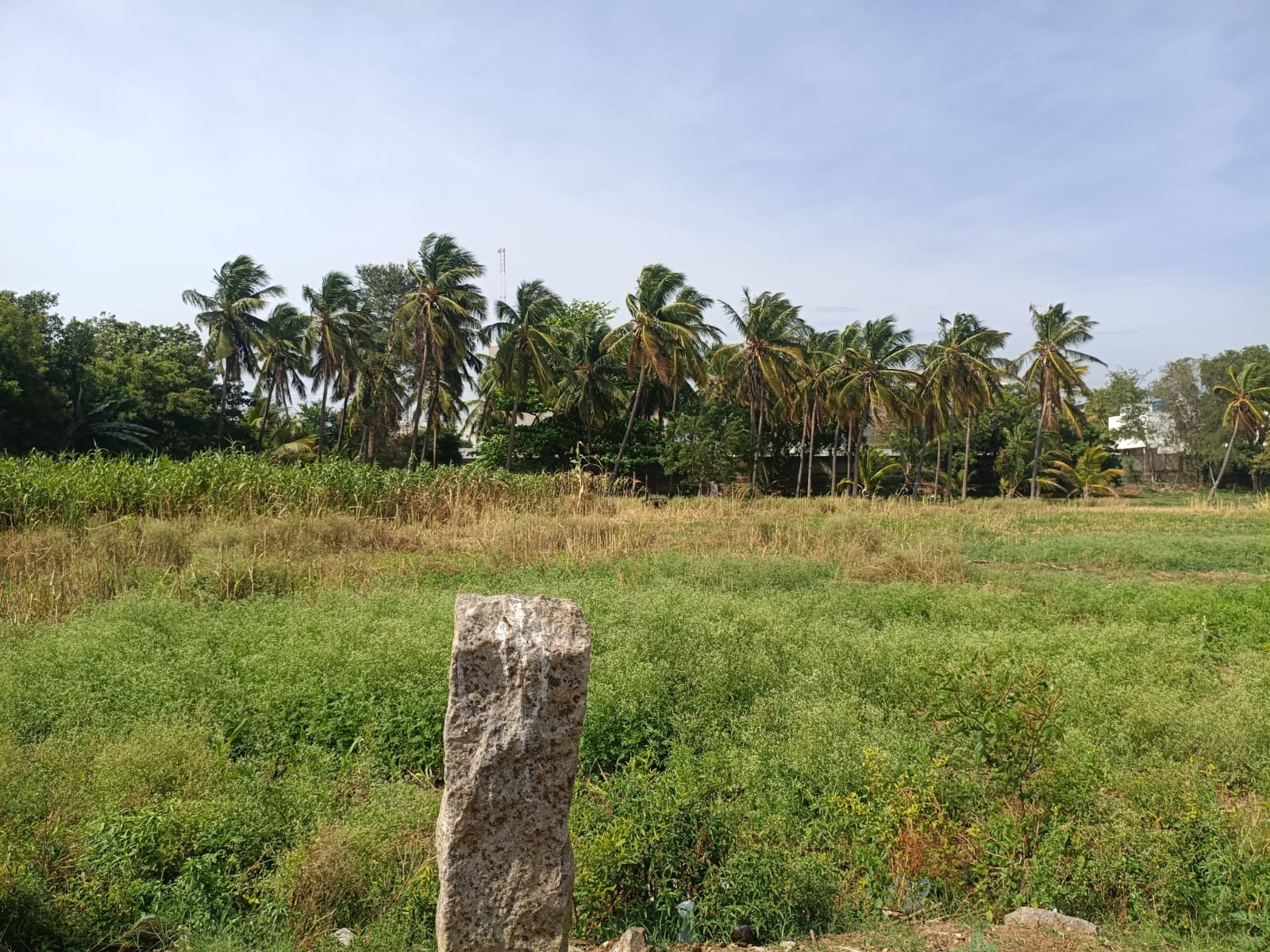 land
